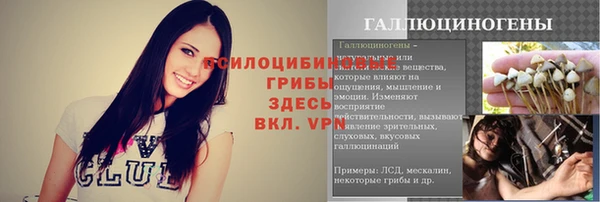 тгк Верея