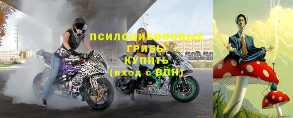 тгк Верея