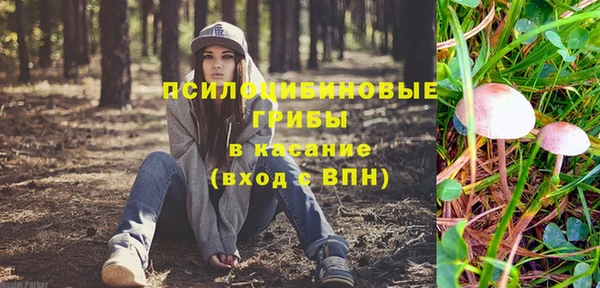 тгк Верея