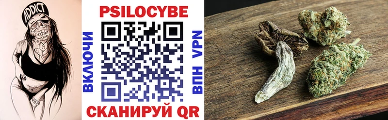 Псилоцибиновые грибы Cubensis  купить наркотик  Поворино 